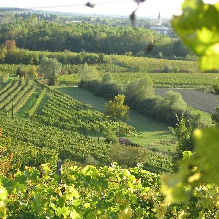 Capriva Del Friuli - Casa Roncus Villa Eksteriør bilde